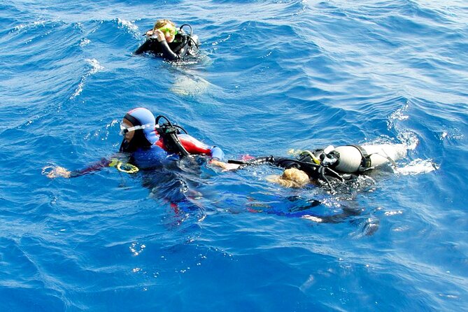 Scuba Diving Experience with Lunch & Transfer from Hurghada - Morning pickup and the trip to the boat