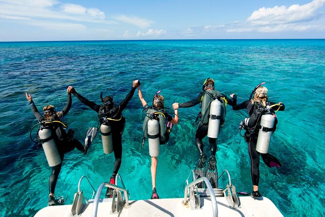 Scuba Diving Experience with Lunch & Transfer from Hurghada - The first underwater stop