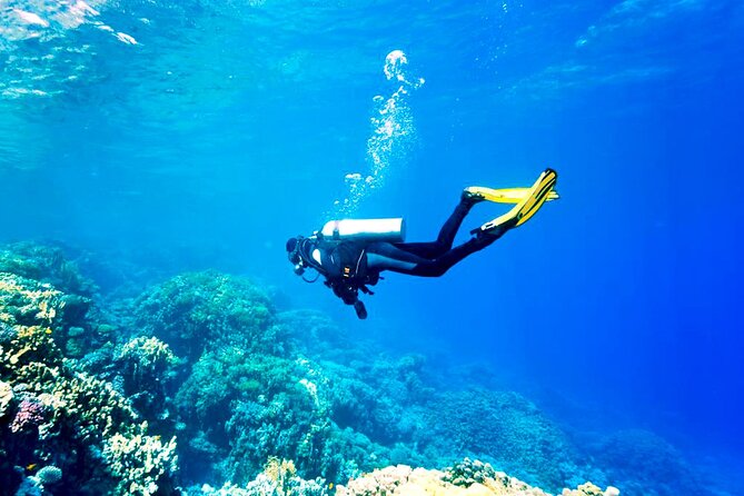 Scuba Diving Experience with Lunch & Transfer from Hurghada - What to bring and how to plan the morning