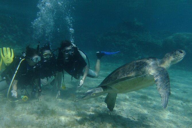 SCUBA DIVING first time experience - The 45-minute underwater session
