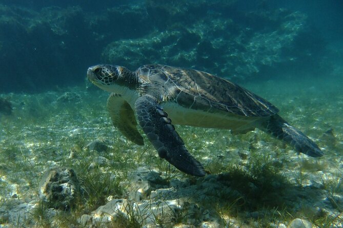 SCUBA DIVING first time experience - Why the instructors make such a difference