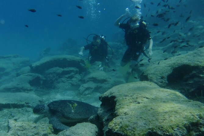 SCUBA DIVING first time experience - Pickup, equipment, and the three-hour timetable