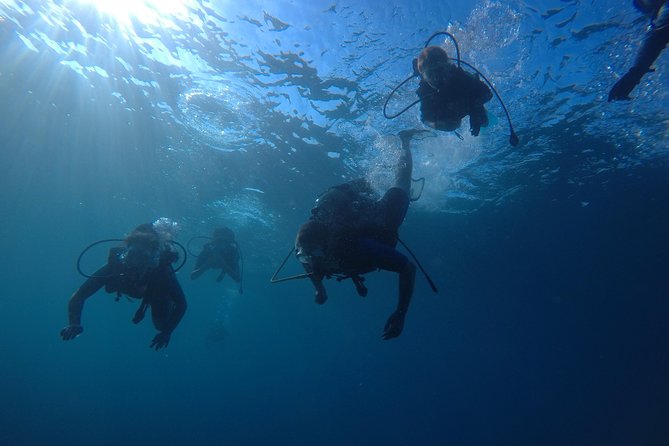 Scuba Diving For Beginners - The first lesson: basic theory without the classroom burden