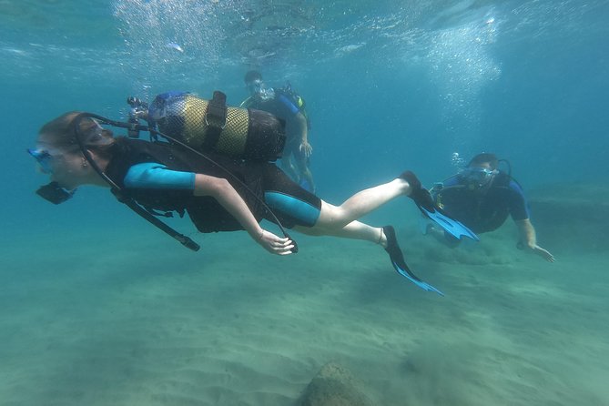 Scuba Diving For Beginners - The boat outing and the coral reef
