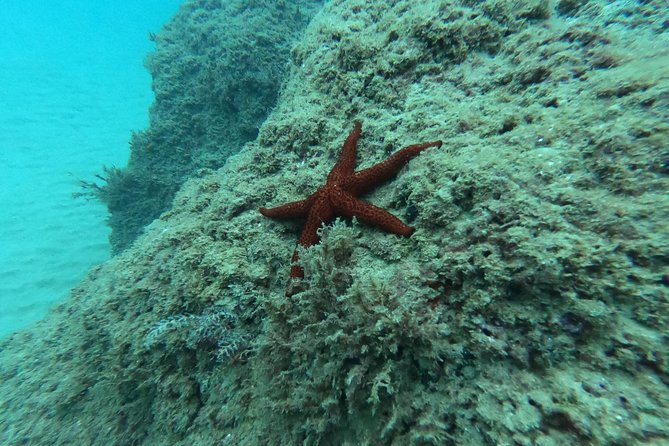 Scuba Diving For Beginners - Choosing between the 6 metre and 12 metre options