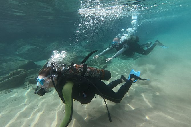 Scuba Diving For Beginners - Who will enjoy this most?