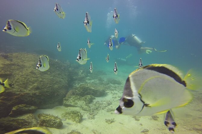 Scuba Diving for Beginners in Acapulco - The 45-minute break between sessions