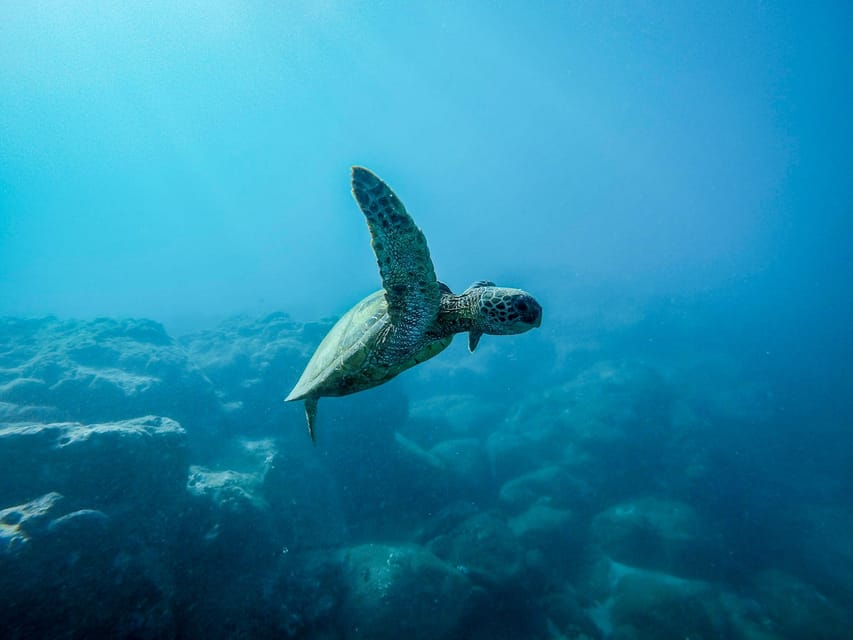 Scuba diving for beginners in crystal clear sea of Halkidiki - Starting at Triton Scuba Diving Center