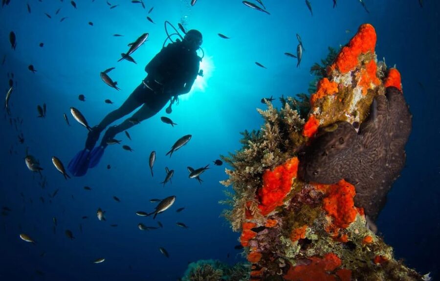 Scuba diving for beginners in crystal clear sea of Halkidiki - Learning to Breathe Underwater at Porto Valitsa Bay
