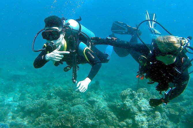 Scuba Diving for Beginners in Pula - Key points at a glance