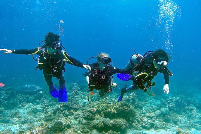Scuba Diving for Beginners in Pula - How the certification credit works