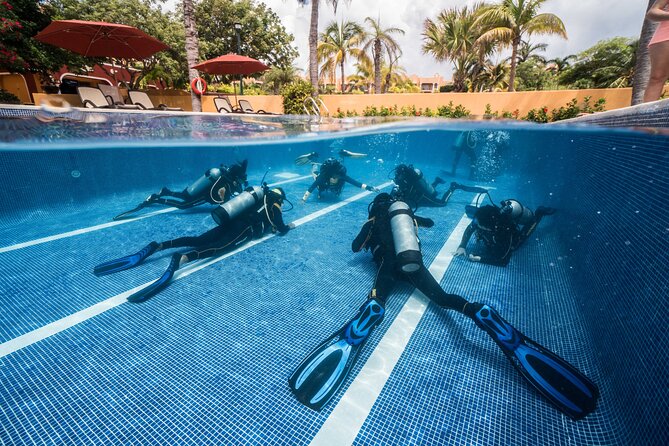 Scuba Diving for Beginners – Tulum Dive Machine - The break between sessions