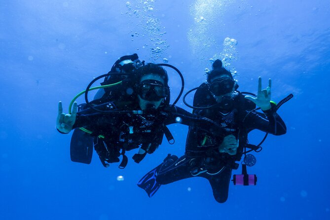 Scuba Diving for Beginners – Tulum Dive Machine - Who will enjoy this experience most