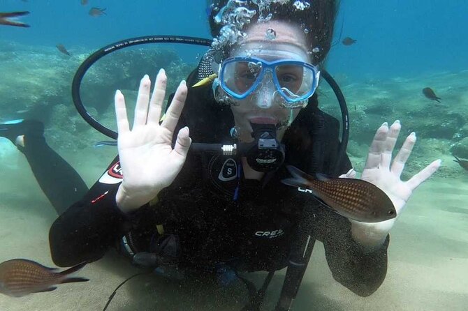 Scuba Diving for Beginners with a PADI Instructor near Heraklion - Watching the HD footage afterward