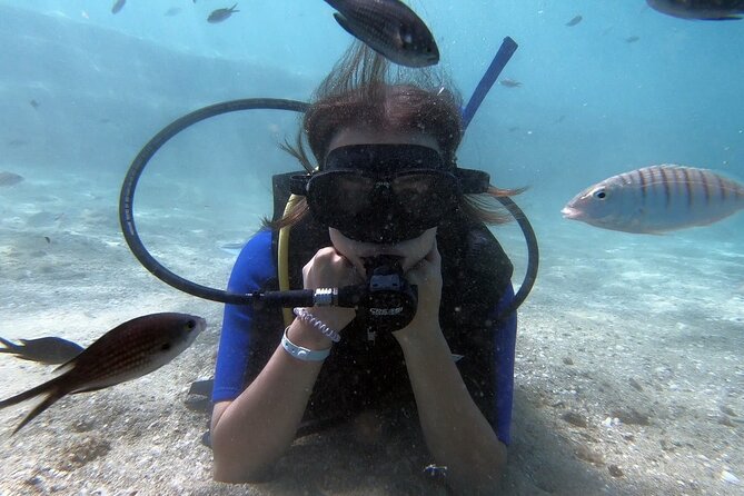 Scuba Diving for Beginners with a PADI Instructor near Heraklion - Is $84.11 good value?