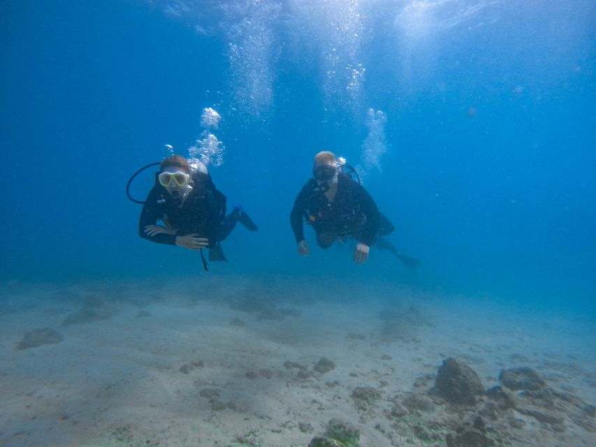 Scuba Diving for Beginners with Certified Diving Centre - A gentle first step into scuba