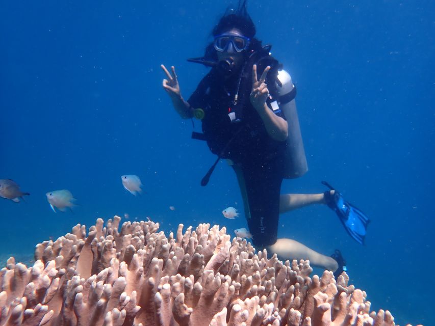 Scuba Diving for Beginners with Certified Diving Centre - What the $88 price really covers