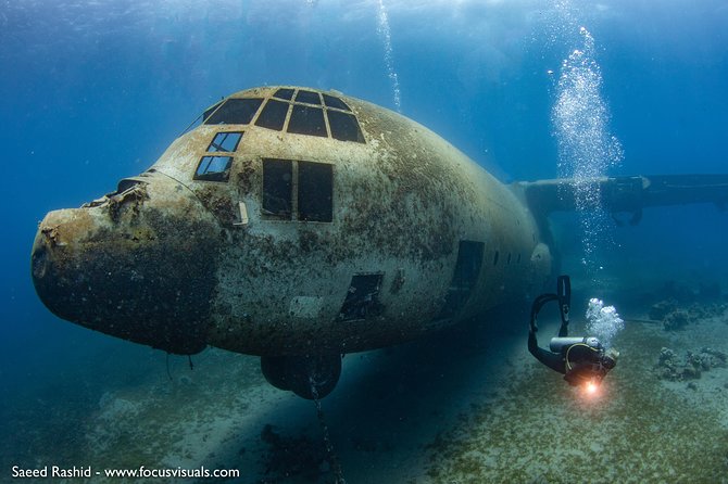 Scuba Diving for Certified Divers - Key points before you book