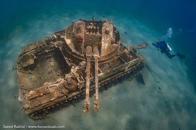 Scuba Diving for Certified Divers - The C-130 Hercules beneath Aqaba’s water