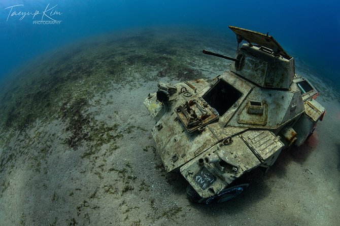 Scuba Diving for Certified Divers - The tank and the natural reef