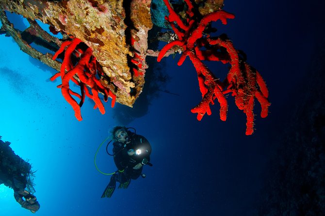 Scuba Diving for Certified Divers - Who will get the most from this outing?