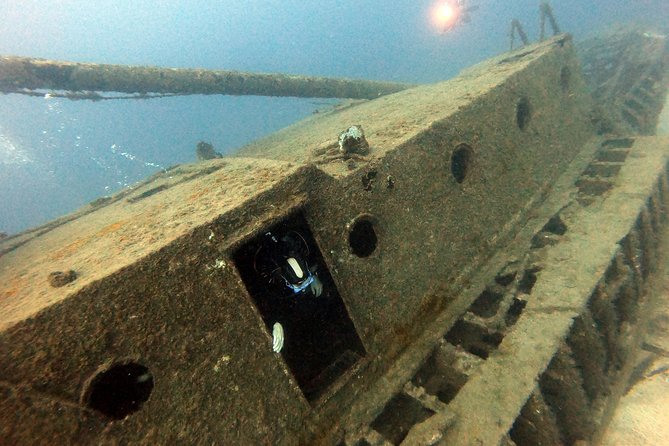 Scuba Diving for Certified Divers in Costa Adeje - Equipment, wetsuit comfort, and photographs