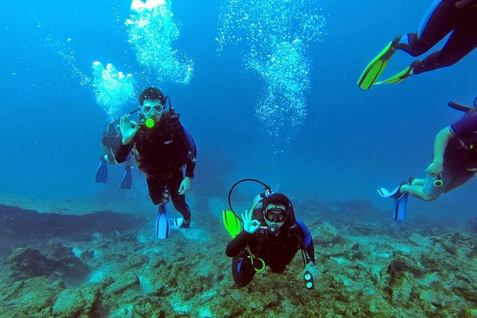 Scuba Diving from Bodrum - The underwater sights near Bodrum