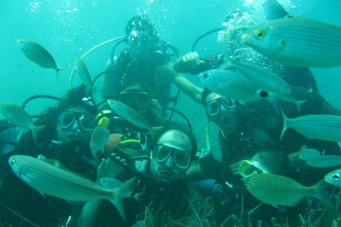 Scuba Diving from Bodrum - One 25 to 30-minute session, not an all-day scuba course