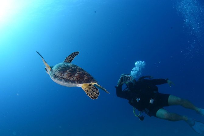 Scuba Diving from Bodrum - Boat time, swimming, and the bay