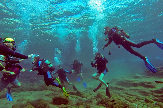 Scuba Diving from Bodrum - Who will enjoy this most