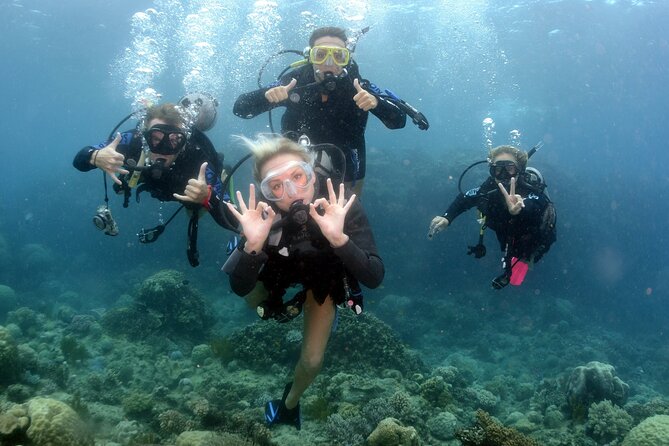 Scuba Diving in Antalya from Antalya & Kemer - Booking, pickup, and cancellation details