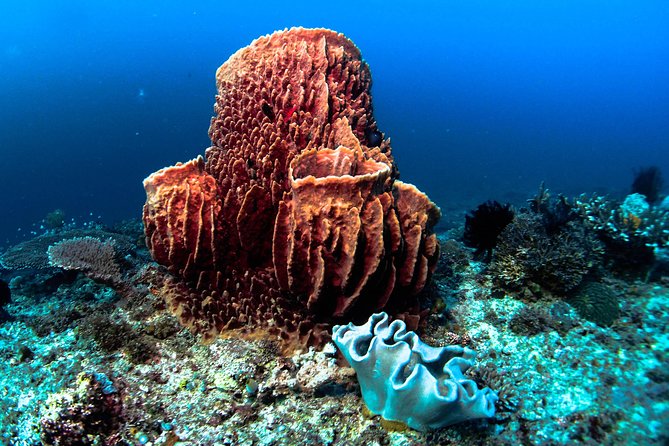 Scuba Diving in Boracay: SSI Basic Diver for Beginners - How the four-hour session is likely to unfold