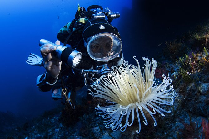 Scuba diving in Calabria, Italy - Who will get the most from this outing