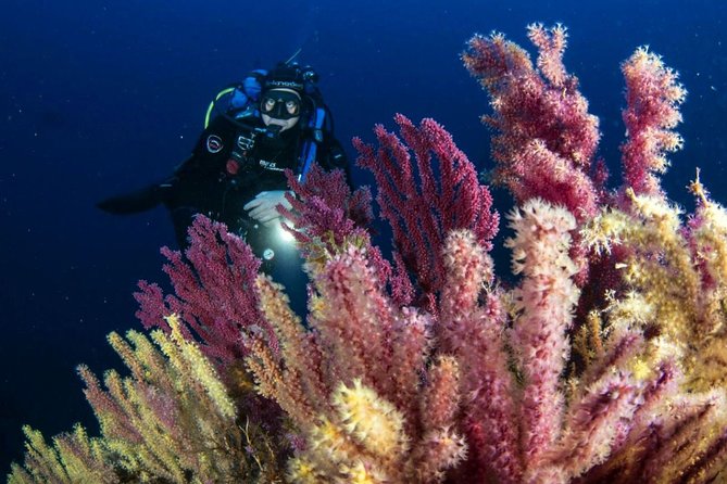 Scuba diving in Calabria, Italy - Meeting Roberta and Francesco at Megale Hellas
