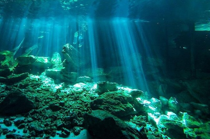 Scuba Diving in Cenote Dos Ojos from Playa del Carmen - First route: clear water and cave scenery