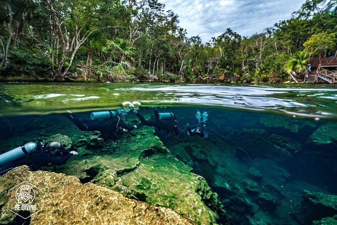 Scuba Diving in Cenotes - Why cenotes make this a special underwater day