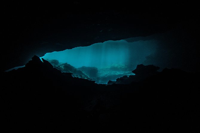 Scuba Diving in Cenotes - Two guided descents, with skill limits built in