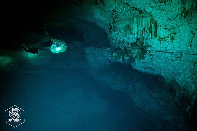 Scuba Diving in Cenotes - What you may see at sites such as Casa Cenote and Dos Ojos