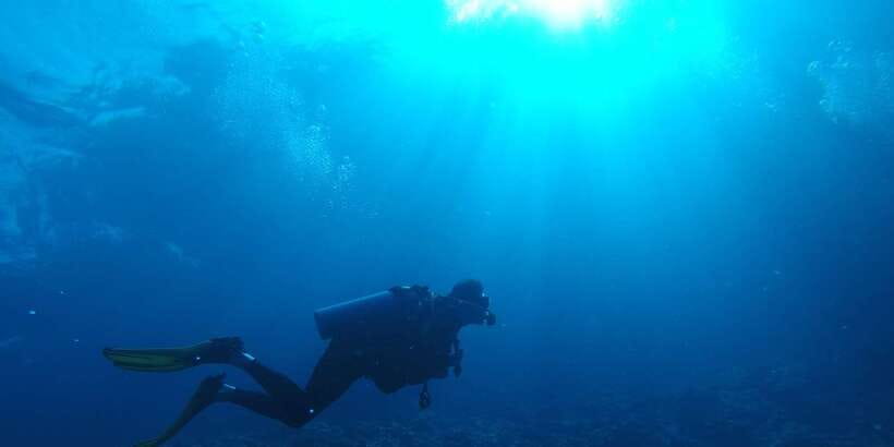 Scuba Diving in Colombo - The wreck sites are the main event