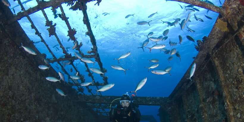 Scuba Diving in Colombo - What the two-hour schedule means for you