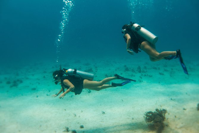 Scuba Diving in Cozumel Island - The surface interval: at least one hour