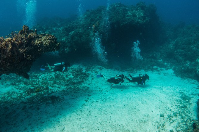 Scuba Diving in Cozumel Island - What the $220 price really buys