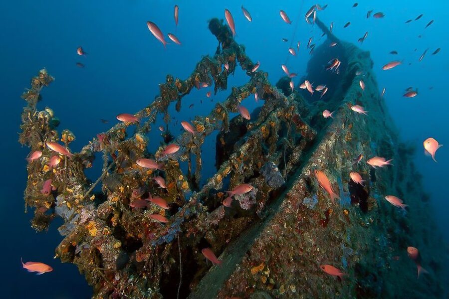 Scuba Diving in Dubrovnik: 1 Dive for Certified Divers - Key things to know before booking