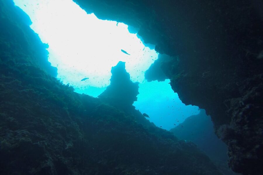 Scuba Diving in Dubrovnik: 1 Dive for Certified Divers - Why this Dubrovnik water outing is worth considering