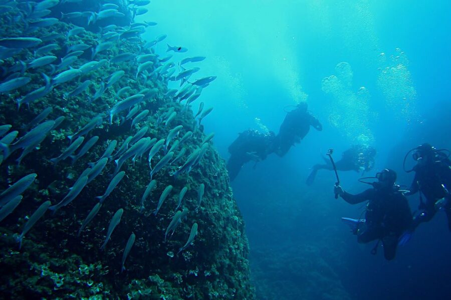 Scuba Diving in Dubrovnik: 1 Dive for Certified Divers - The Taranto, a wreck near the center