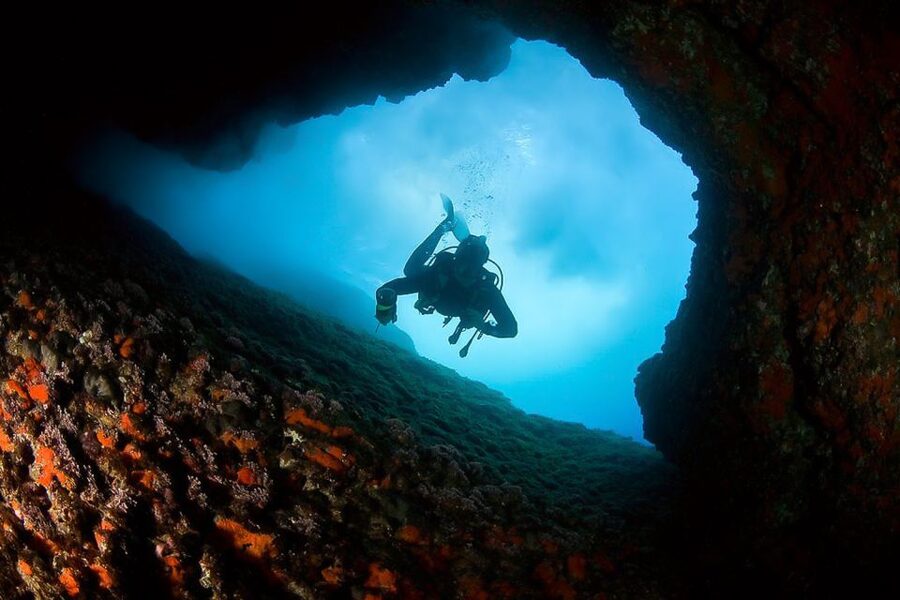 Scuba Diving in Dubrovnik: 1 Dive for Certified Divers - Tomislav beside Lokrum Island