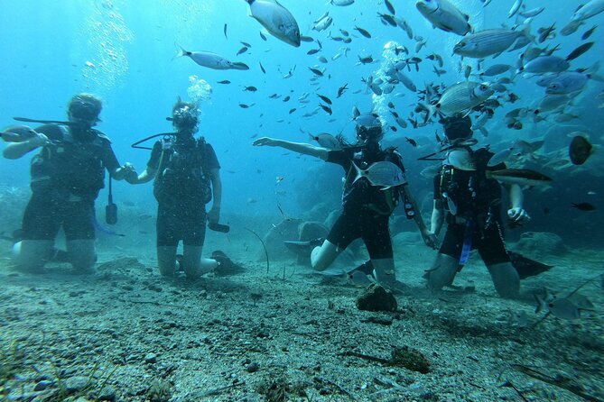 Scuba Diving in Fujairah with Private Transfers - The first coral reef visit