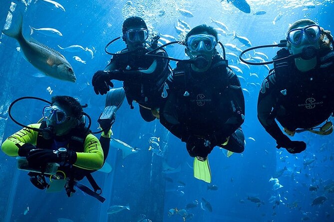 Scuba Diving in Fujairah with Private Transfers - Wrecks, coral, and what the water time means