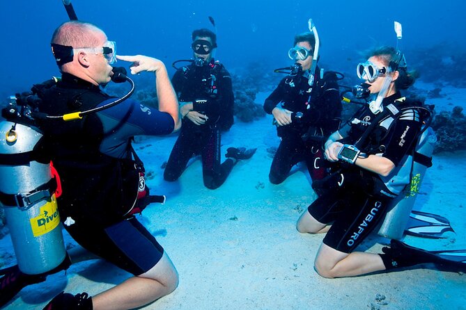 Scuba Diving in Fujairah with Private Transfers - Is $199 a fair price?