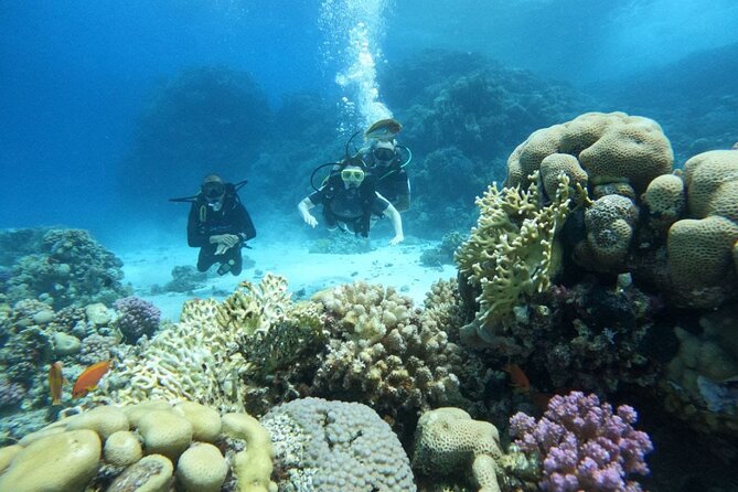 Scuba Diving in Hurghada _ 2 Stops Dive With Equipments & Lunch - Key points at a glance